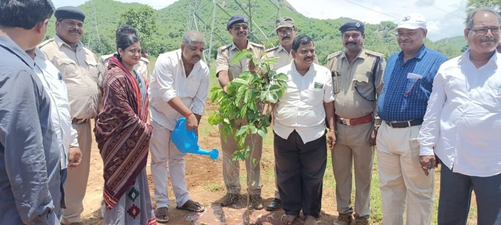 ଆସିକା ବନାଞ୍ଚଳର ଚାରିମାଇଲରେ ବୃକ୍ଷରୋପଣ,ମାଗଣା ଚାରା ବଣ୍ଟନ