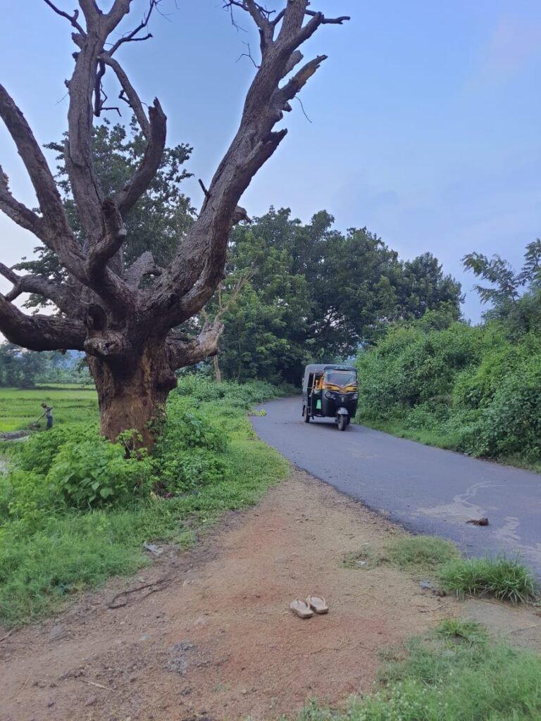 ବିପଦପୂର୍ଣ୍ଣ ଅବସ୍ଥାରେ ରାସ୍ତା କଡ଼ରେ ରହିଛି ଶୁଖିଲା ଗଛ