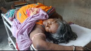 ସାପ କାମୁଡାରେ ବୃର୍ଦ୍ଧା ମୃତ