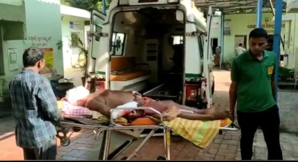 ଭାଲୁ ଆକ୍ରମଣ ରେ ଜଣେ ଆହାତ:ଡାକ୍ତରଖାନାରେ ଭର୍ତ୍ତି