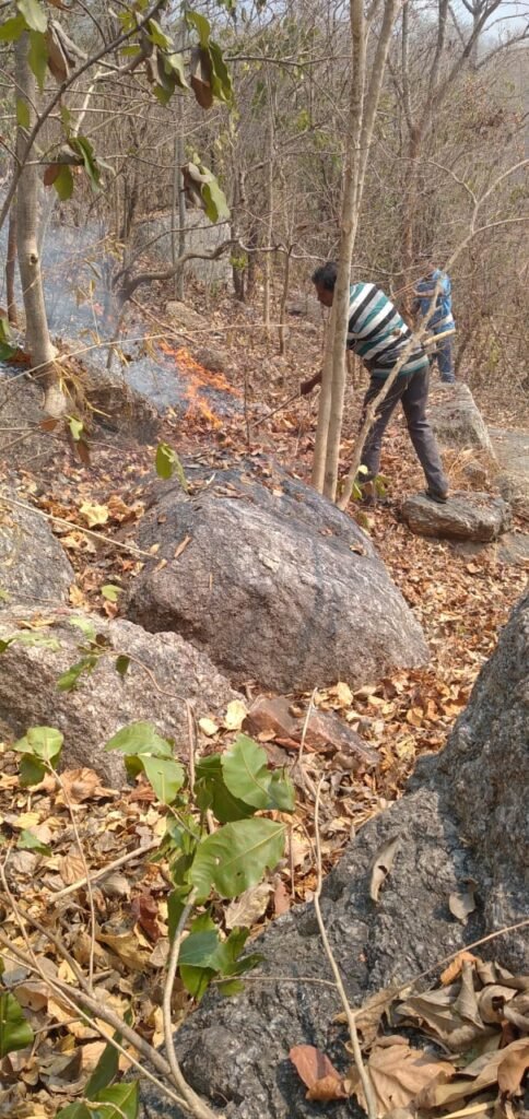 ଶୁଳିଆ ପାହାଡ଼ରେ ନିଆଁ ଲାଗି ଜନଜୀବନ ଅସ୍ତବ୍ୟସ୍ତ ………………………………. ଧରାକୋଟ ଗଡର ଚାରିପଟେ ଘେରି ରହିଥିବା ସୁଳିଆ ପାହାଡ଼ରେ ଗତ ରାତିରୁ ନିଆଁ ଲାଗି ବ୍ୟାପକ ଜଙ୍ଗଲ ଜଳିବାରେ ଲାଗିଛି । ଧରାକୋଟ, ମଲିଝର, ସରପଡା, ଟିନିଟିନା, ମାଧପୁର,ଗୋପାଳ ପୁର, ହୀରାଖନ୍ଦି, କୁଶରାବ, ମୁଣ୍ଡମାରାଇ ପ୍ରଭୃତି ଗ୍ରାମରେ ଏହାର ପ୍ରଭାବ ଦେଖିବାକୁ ମିଳିଛି। ବନବିଭାଗ ଏହାର ପ୍ରତିହତ ପାଇଁ ଉଦ୍ୟମ ଜାରି ରଖିଛନ୍ତି। ସବୁଜ ବଳୟ ସୃଷ୍ଟି ପାଇଁ ସରକାର ଲକ୍ଷ ଲକ୍ଷ ଟଙ୍କା ସୃଷ୍ଟି କରୁଥିବା ବେଳେ କିଛି ଅସାଧୁ ବ୍ୟକ୍ତି ମାନଙ୍କ ପାଇଁ ପରିବେଶ ପ୍ରଦୂଷିତ ହେଉଛି । ଅଶହ୍ୟ ଗୁଳୁଗୁଳି ସାଙ୍ଗକୁ ବାଉଁଶ, ଗଛ,ଲତା ଦୀର୍ଘ ଅଞ୍ଚଳକୁ ଧରି ଜଳୁଥିବାରୁ ବନ୍ୟ ପ୍ରାଣୀମାନଙ୍କ ପାଇଁ ବିପଦ ଦେଖା ଦେଇଛି। ଅଞ୍ଚଳରେ ଧୁଆଁର ଏକ ଆସ୍ତରଣ ସୃଷ୍ଟି ହୋଇଛି । ବନବିଭାଗ ତରଫରୁ ବନପାଳ ଅକ୍ଷୟ ତ୍ରିପାଠୀ ଙ୍କ ନେତୃତ୍ବରେ ନିଆଁ ଲିଭାଇବାକୁ ଚେଷ୍ଟା ଜାରି ରହିଛି। ଜଙ୍ଗଲ ନିଆଁ ଲିଭାଇବା ଅଗ୍ନିଶମ ବିଭାଗ କର୍ମଚାରୀ ମାନଙ୍କ ପାଇଁ ସହଜ ସାଧ୍ୟ ହେଉନାହିଁ । ଅନ୍ୟ ପଟରେ ଆଦିବାସୀ ମାନଙ୍କ ପକ୍ଷରୁ ନିଆଁ ଲଗାଯାଇଥିବା ଖବର ଆସୁଛି।