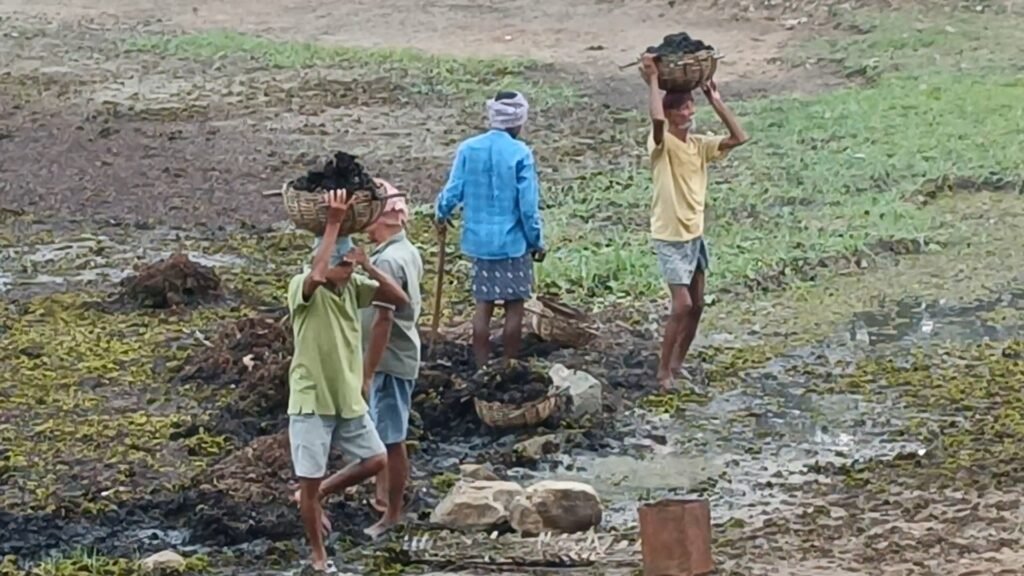 ଢୁଢୁ ଖରାକୁ ଭୃକ୍ଷେପ ନାହିଁ:ପେଟପାଇଁ ମୂଲିଆ କରନ୍ତି କାର୍ଯ୍ୟ
