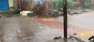 ଆସିକା ରେ କୁଆ ପଥର ବର୍ଷା
