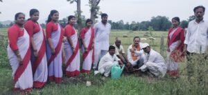 ମୁଣ୍ଡମରାଇ ଶିଶୁ ମନ୍ଦିରରେ ବନ ମହୋତ୍ସବ କାର୍ଯ୍ୟକ୍ରମ